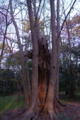 20100403173943