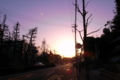 20100403175642