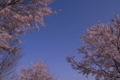 20100404160651
