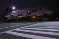 20100407013711