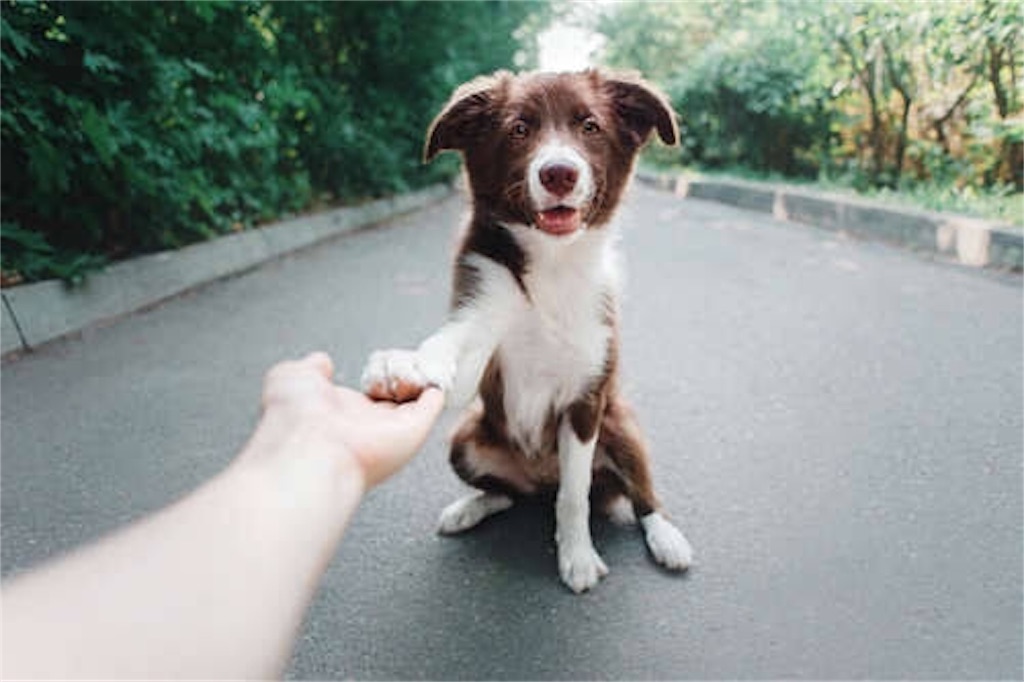 f:id:shuncheeMXN:20190704182644j:image
