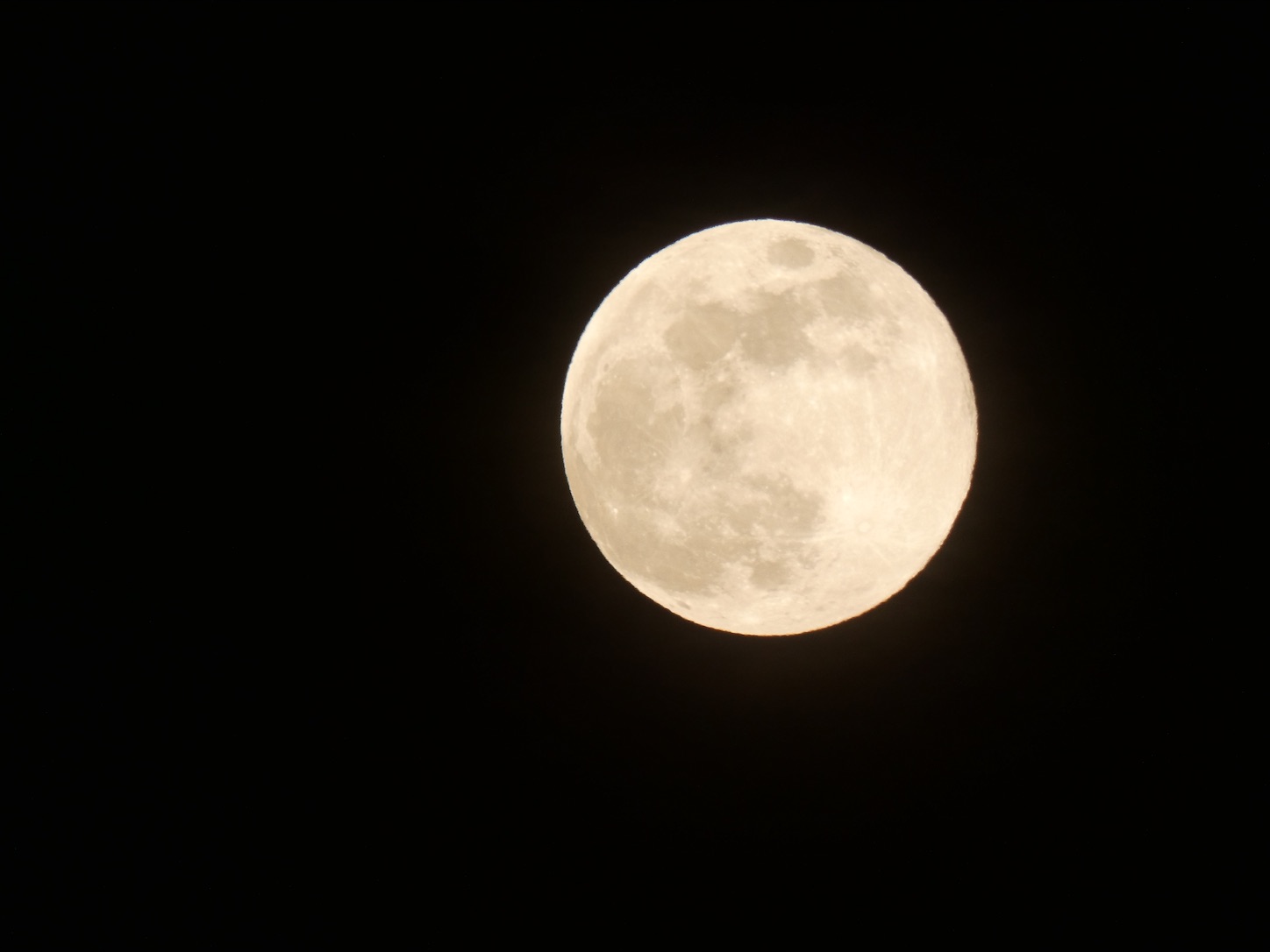 f:id:shunfukuda03011984:20200608230815j:image