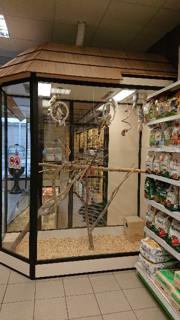 f:id:shunichikun:20220327180414j:image