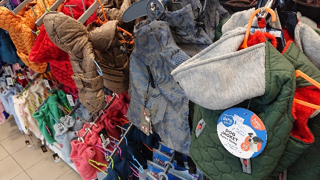 f:id:shunichikun:20220327180527j:image