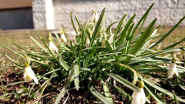 f:id:shunichikun:20220403010424j:image