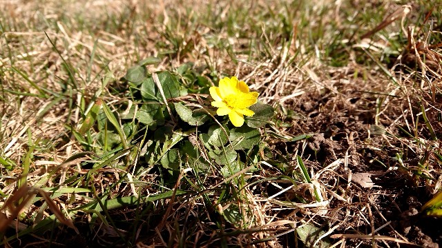 f:id:shunichikun:20220403010456j:image