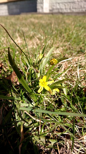 f:id:shunichikun:20220403010506j:image