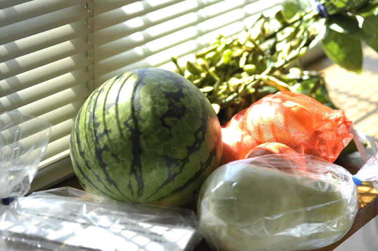 f:id:shunjiwada:20100829105932g:image