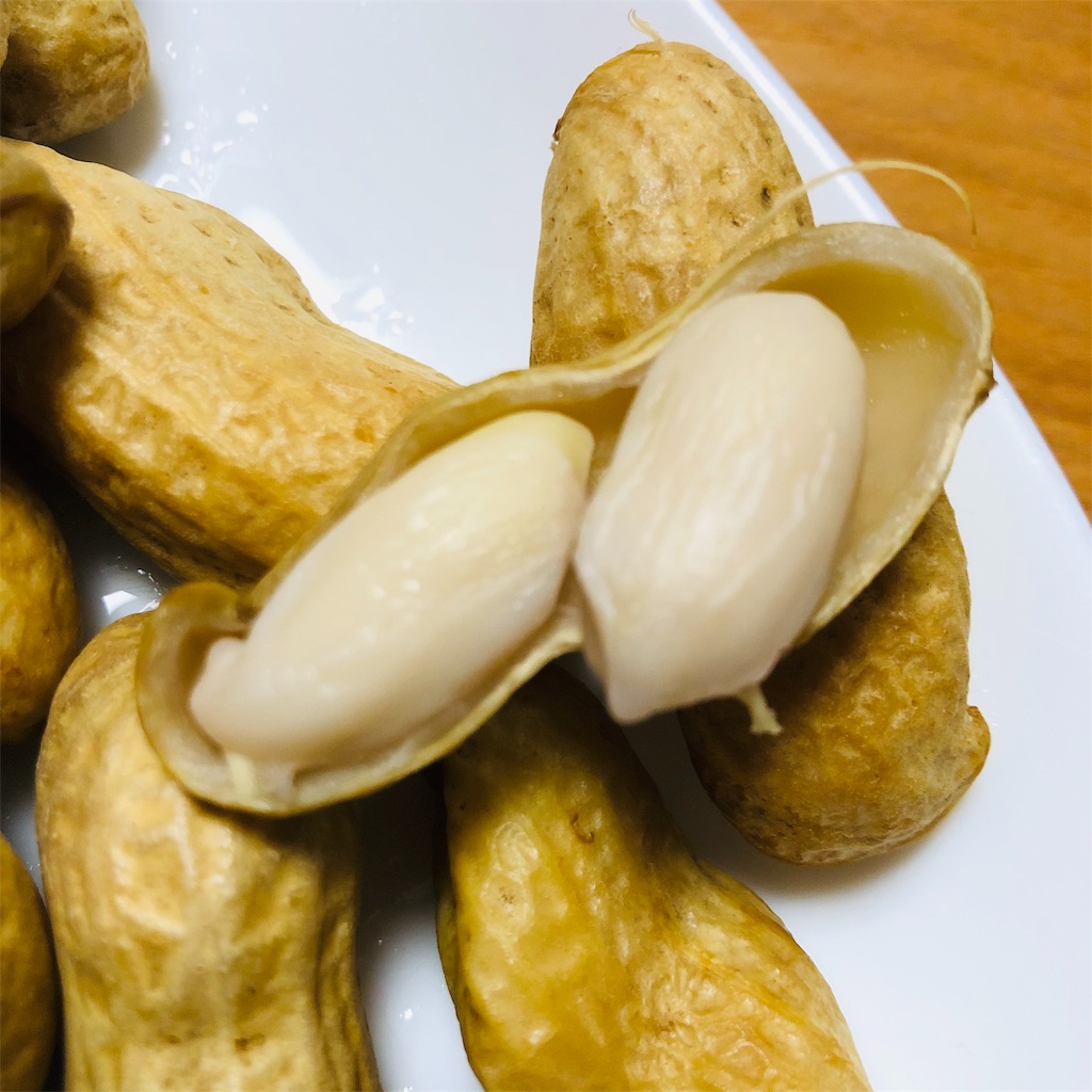 f:id:shunkun2019:20191107231441j:image