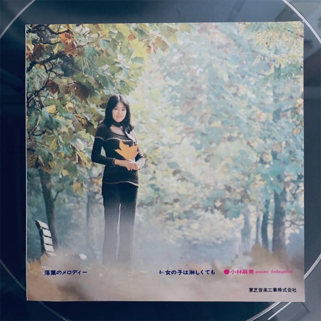 この1枚 落葉のメロディー / 小林麻美 - shunkun's blog