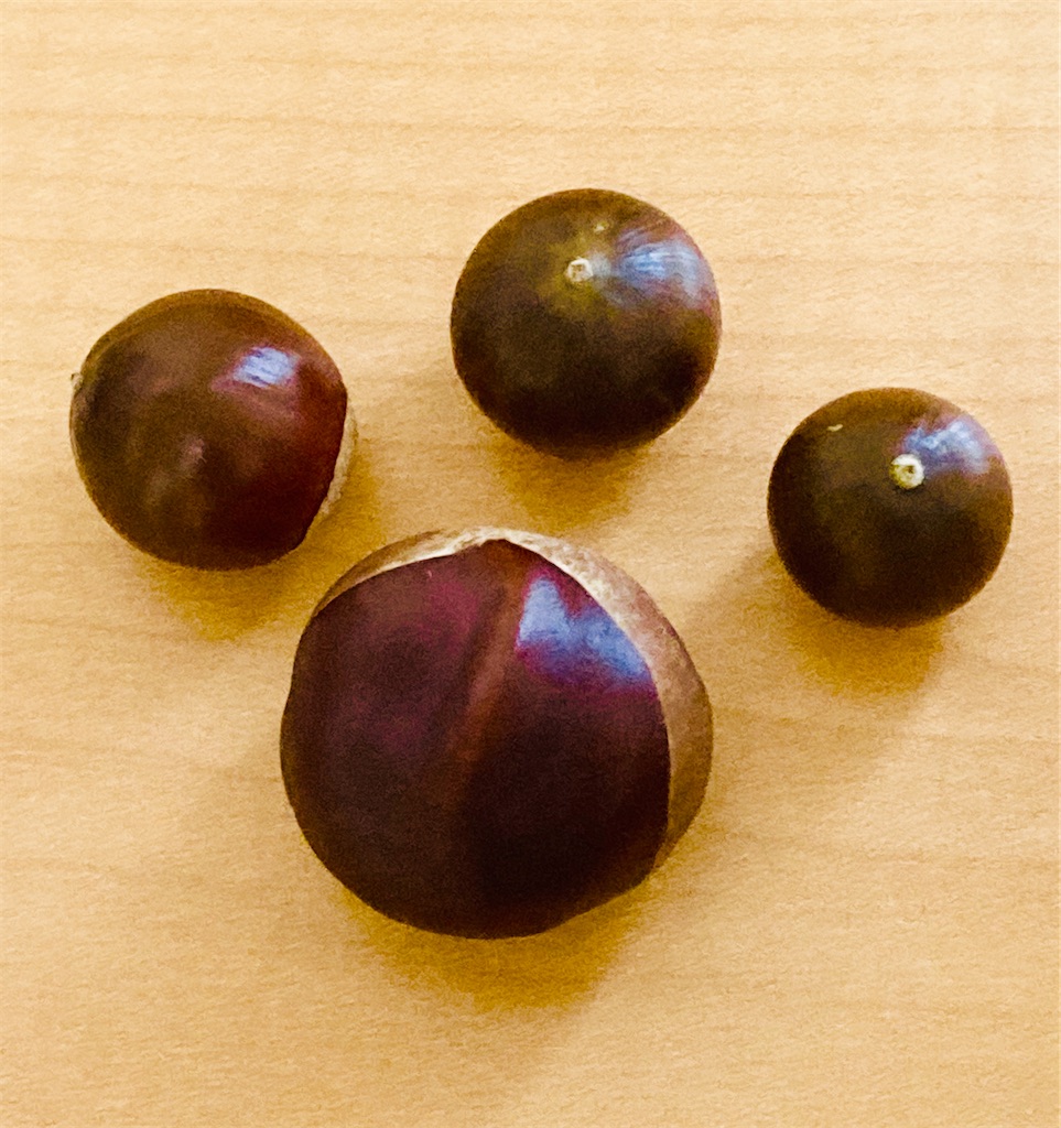 f:id:shunkun2019:20200930064939j:image