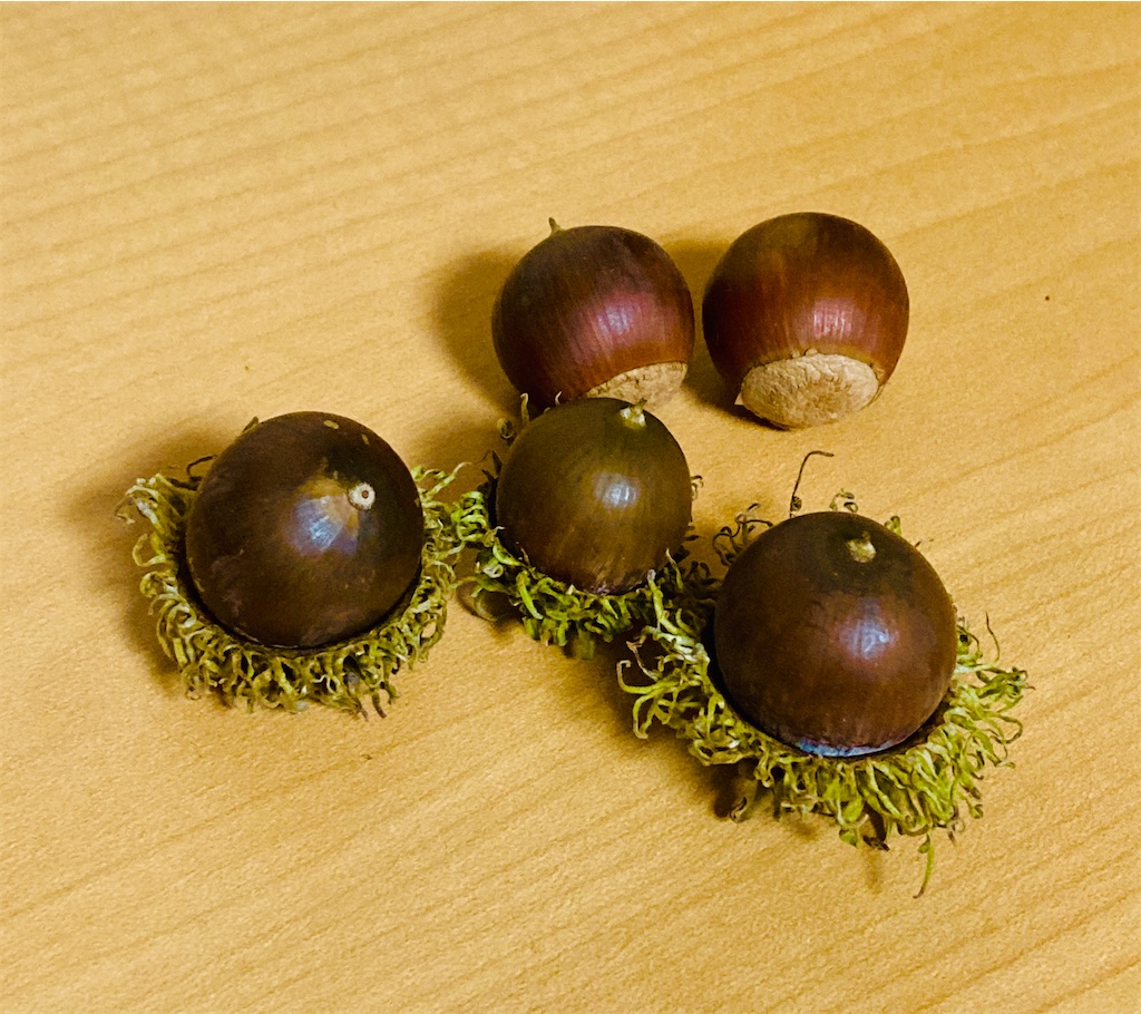 f:id:shunkun2019:20200930065003j:image