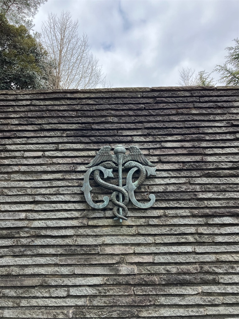 f:id:shunkun2019:20230306231315j:image f:id:shunkun2019:20230306231315j:image