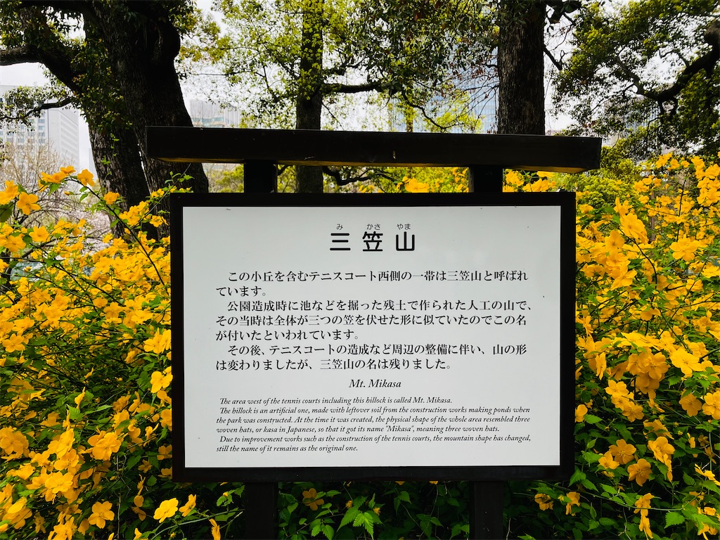 f:id:shunkun2019:20240419233941j:image