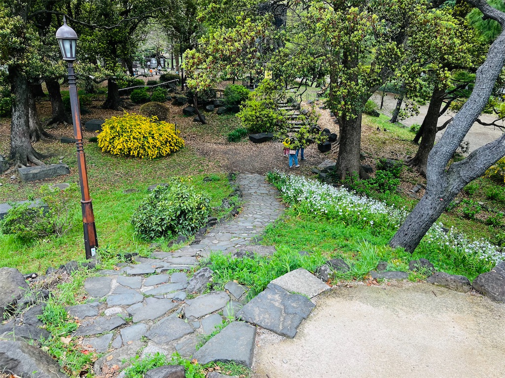 f:id:shunkun2019:20240419234107j:image