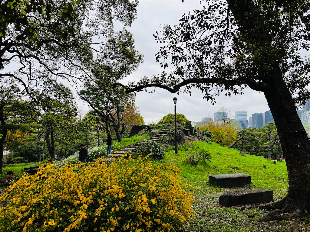 f:id:shunkun2019:20240419234125j:image