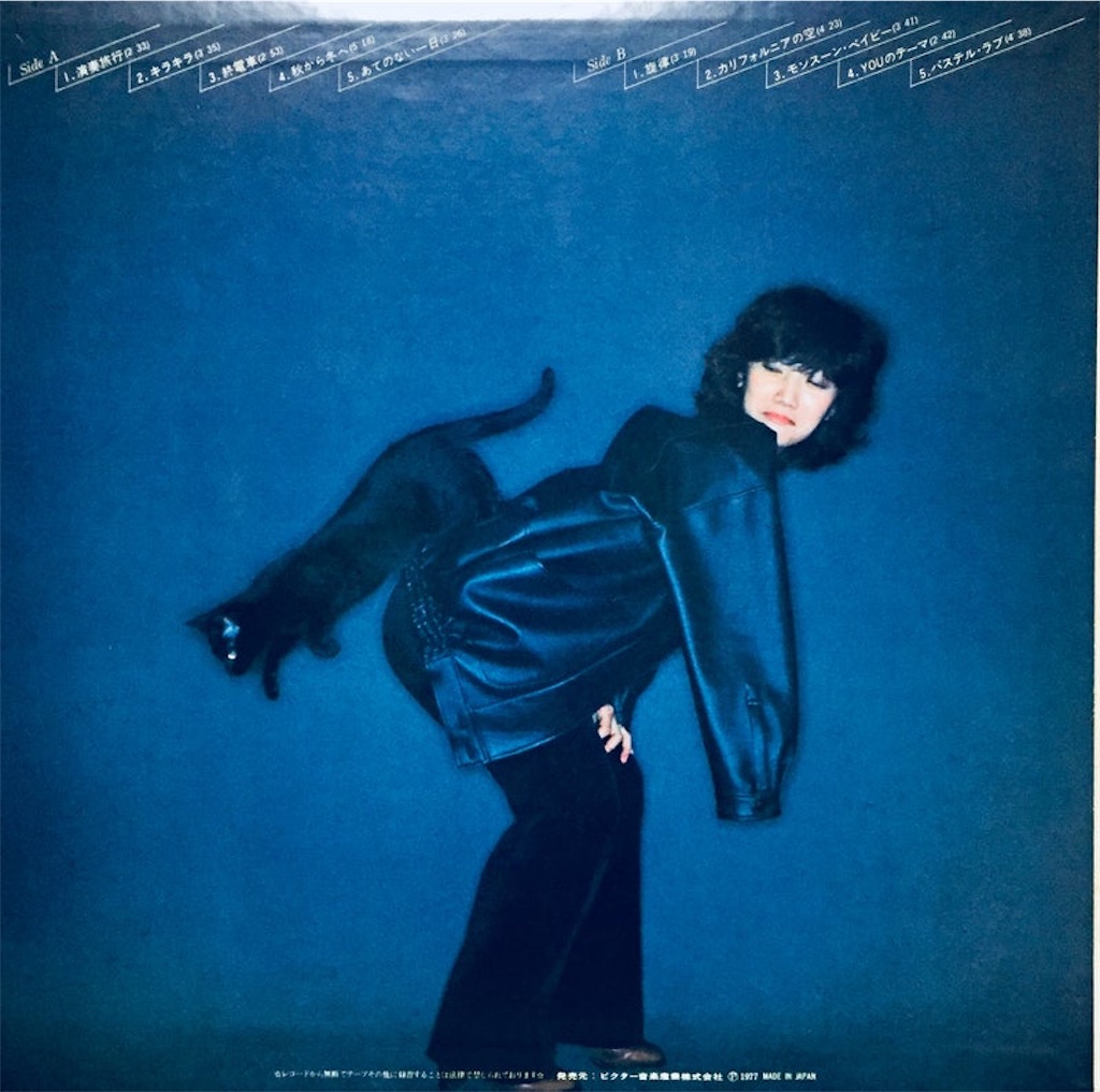 f:id:shunkun2019:20240617225917j:image f:id:shunkun2019:20240617225917j:image