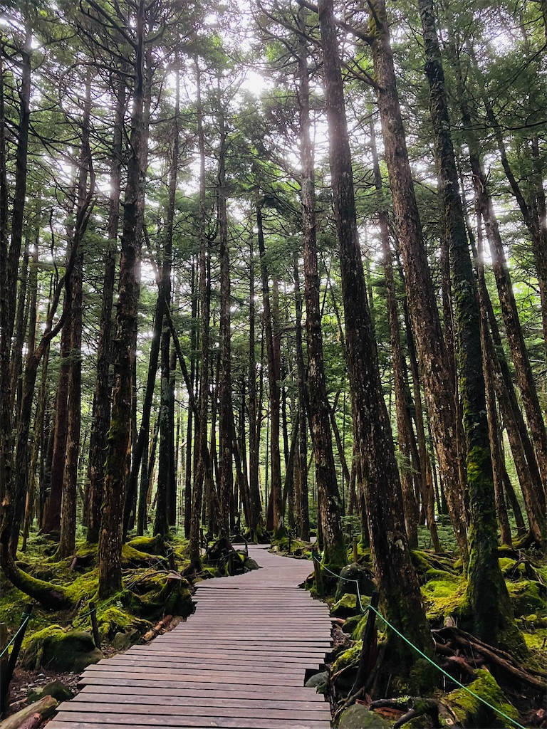 f:id:shunkun2019:20240725193152j:image