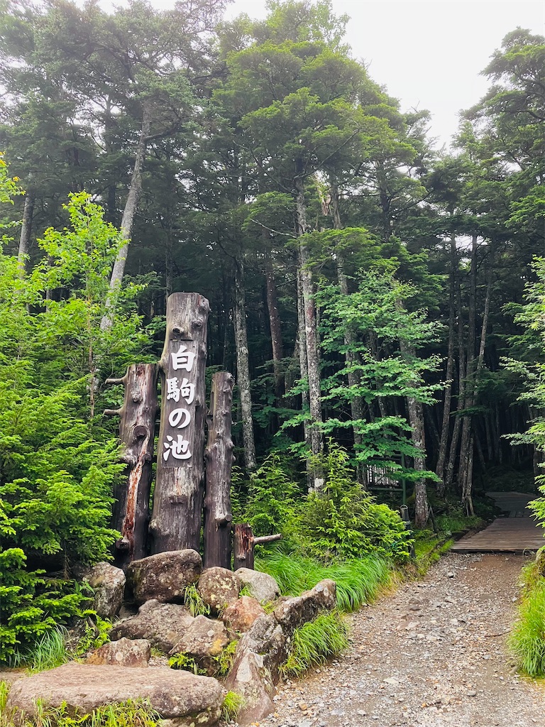 f:id:shunkun2019:20240725193155j:image