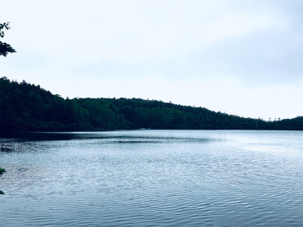 f:id:shunkun2019:20240725193252j:image