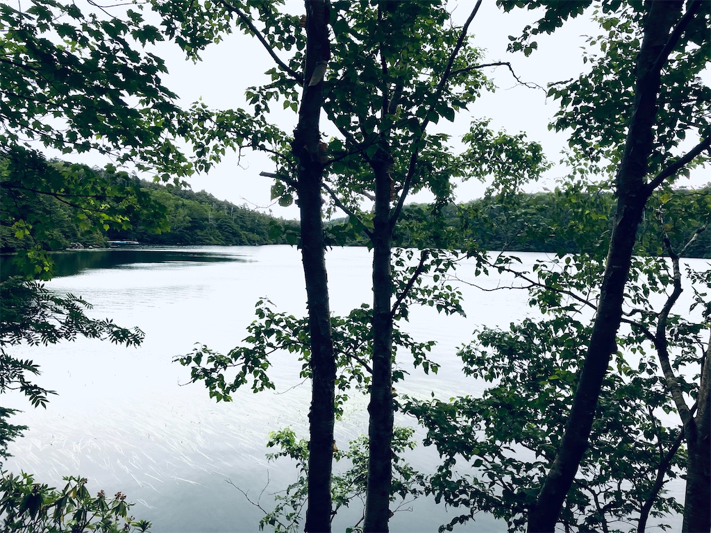 f:id:shunkun2019:20240725193254j:image