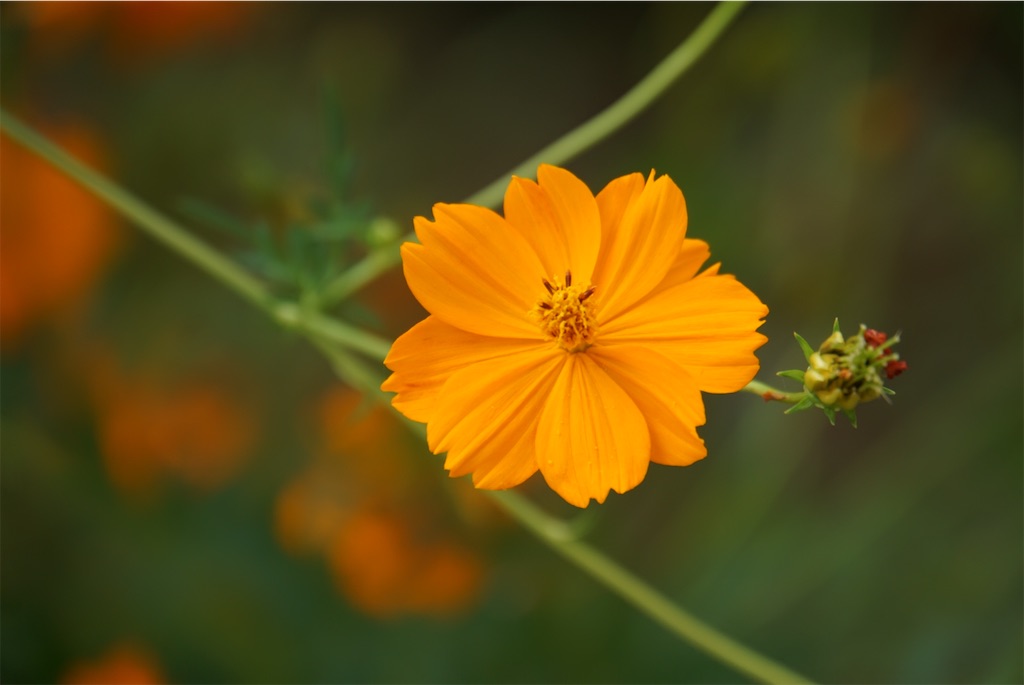 f:id:shunkun2019:20240924220008j:image f:id:shunkun2019:20240924220008j:image