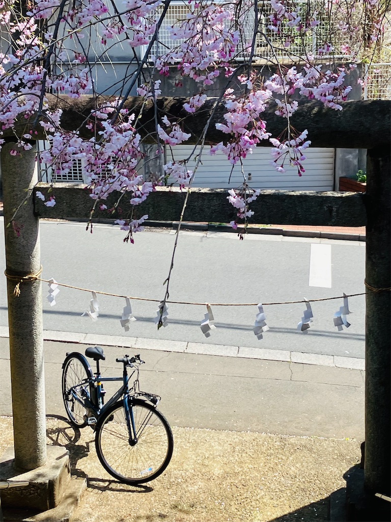 f:id:shunkun2019:20250405235043j:image