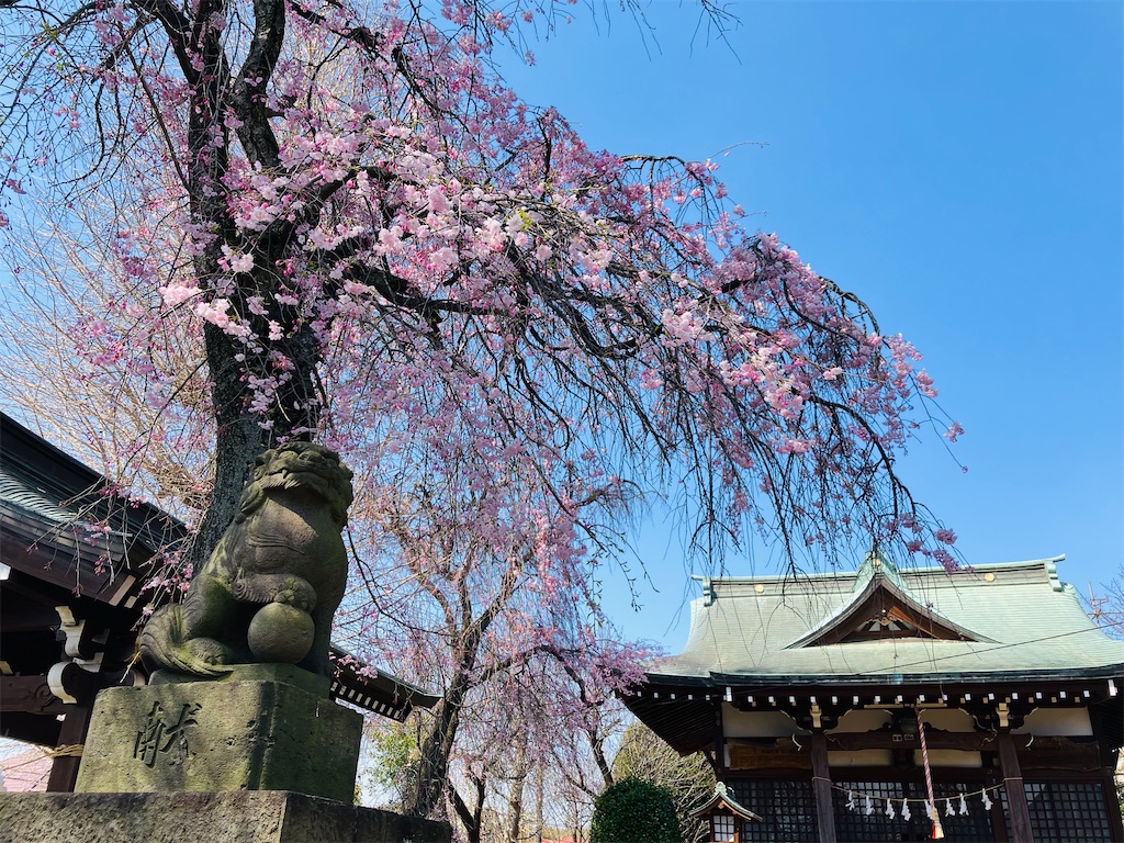 f:id:shunkun2019:20250405235105j:image