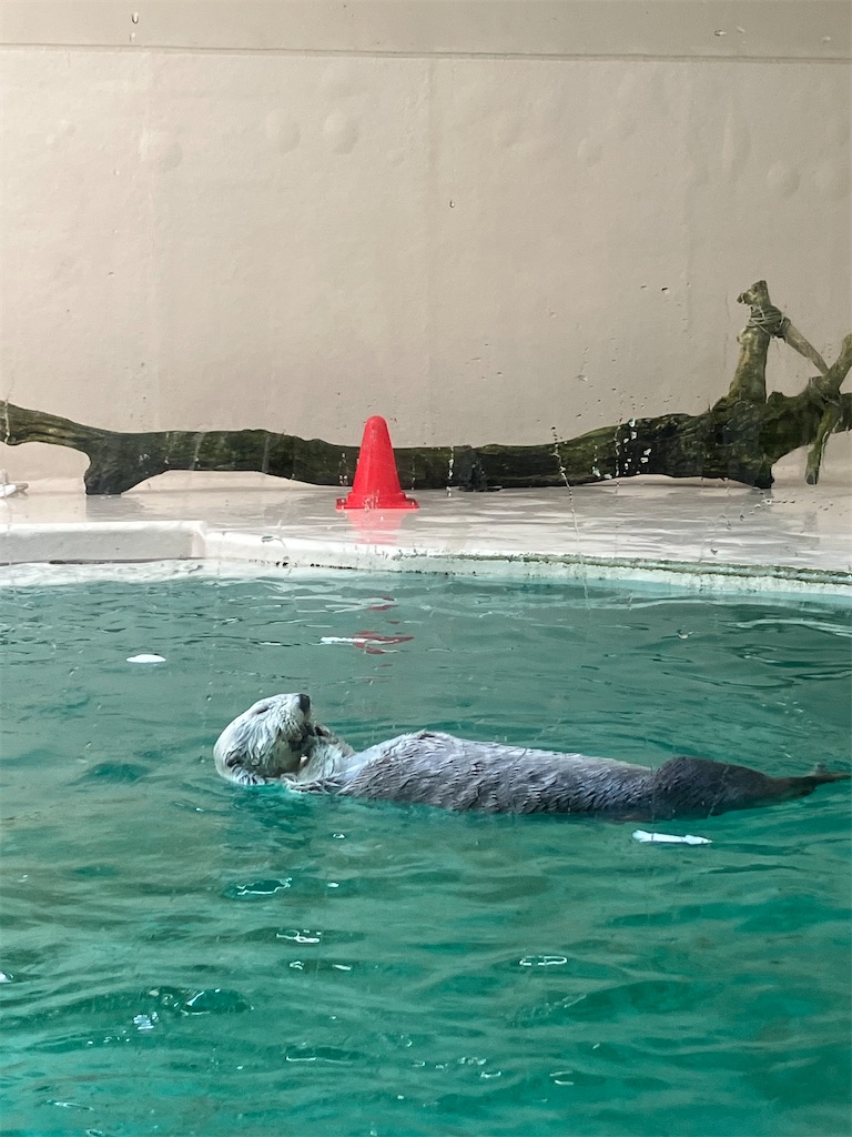 f:id:shunkun2019:20250629165223j:image f:id:shunkun2019:20250629165223j:image