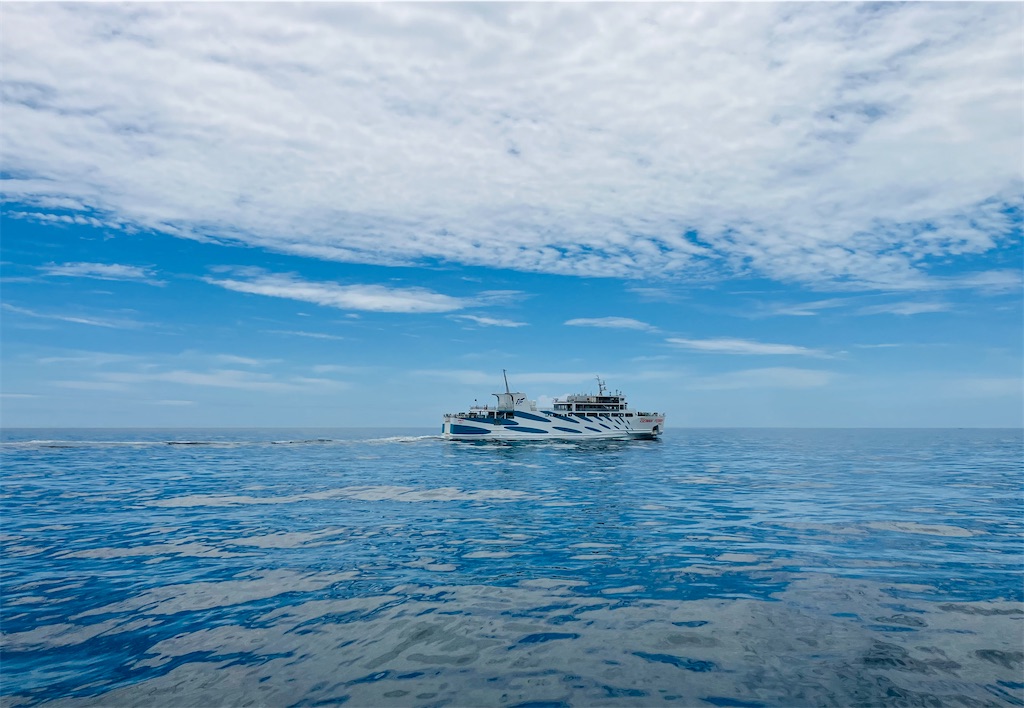 f:id:shunkun2019:20250629165406j:image f:id:shunkun2019:20250629165406j:image