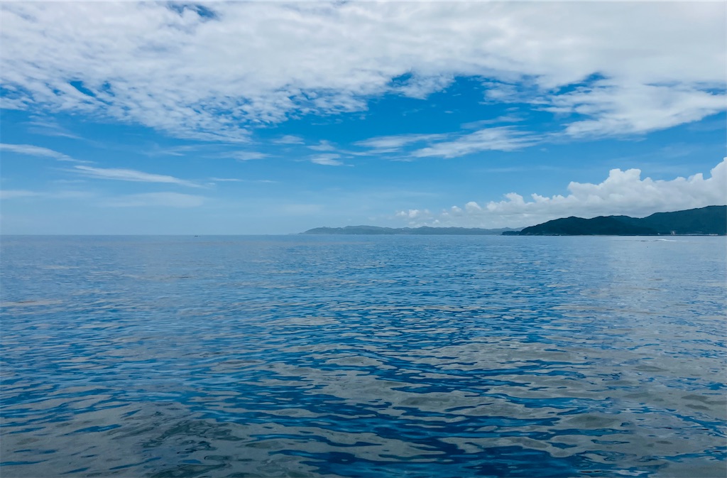 f:id:shunkun2019:20250629165821j:image f:id:shunkun2019:20250629165821j:image