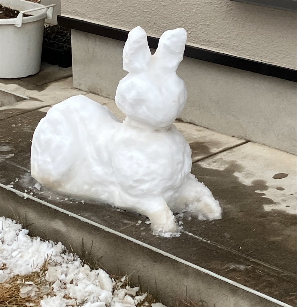 f:id:shunkun2019:20260208232830j:image f:id:shunkun2019:20260208232830j:image