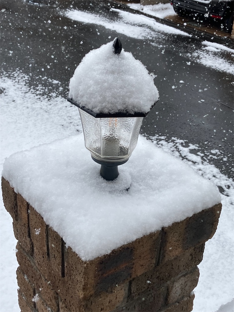 f:id:shunkun2019:20260208232922j:image f:id:shunkun2019:20260208232922j:image