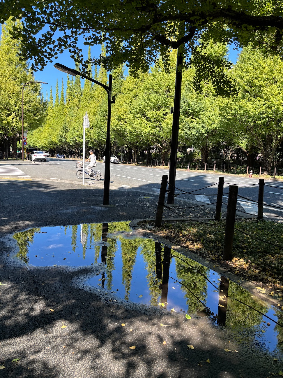 f:id:shunkun2019:20261001224007j:image