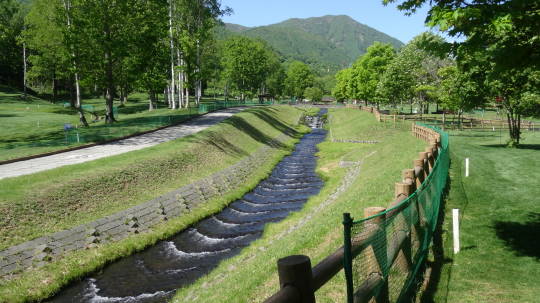 ルスツ 留寿都村 ふれあい公園PG (26)