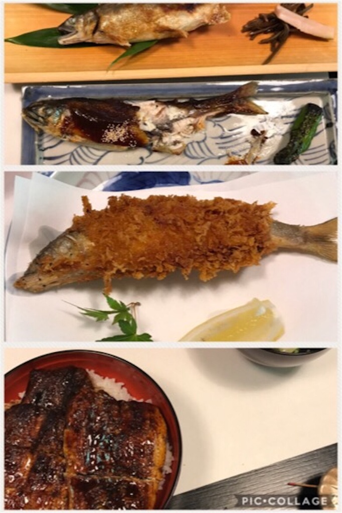 f:id:shunpon:20170612190845j:image f:id:shunpon:20170612190845j:image