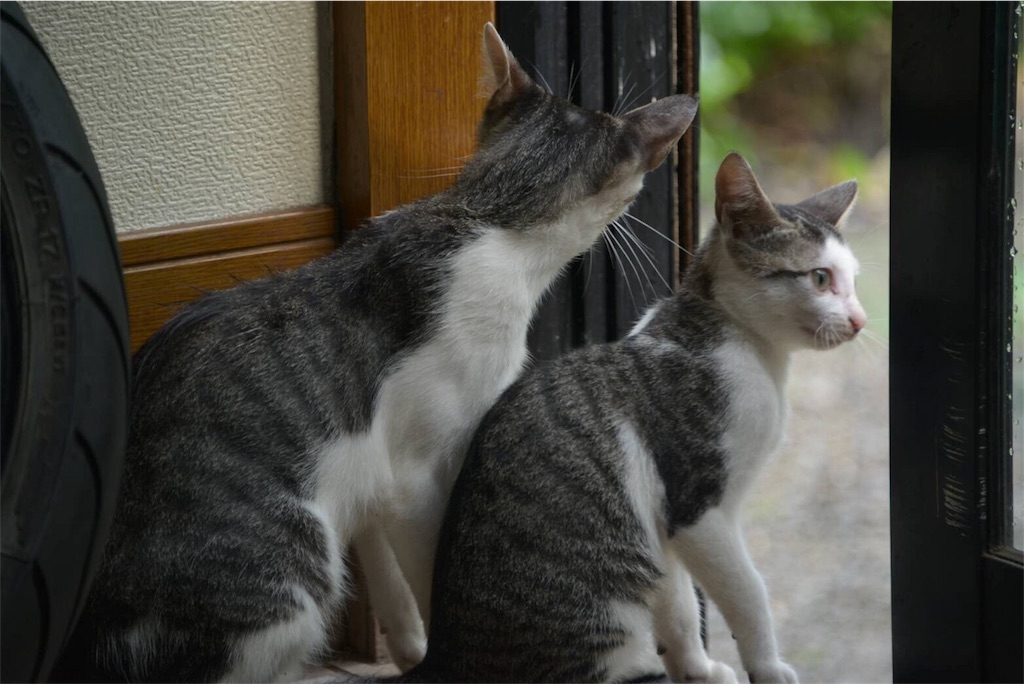 f:id:shunpon:20180101222103j:image f:id:shunpon:20180101222103j:image