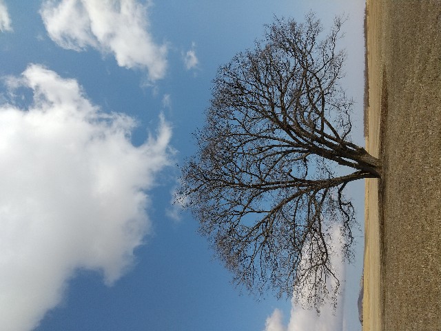 f:id:shunri03:20200412190057j:image