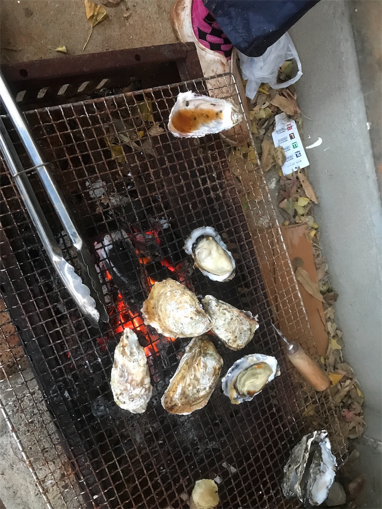 f:id:shunrina:20171210232913j:image