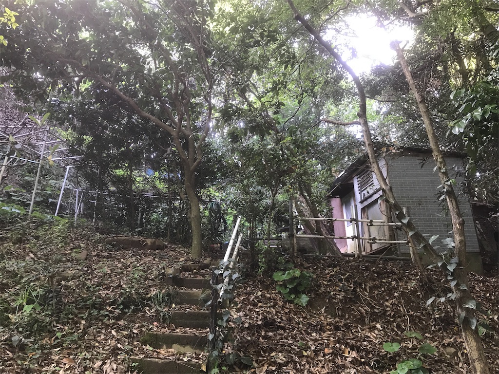 f:id:shunrina:20180416104647j:image