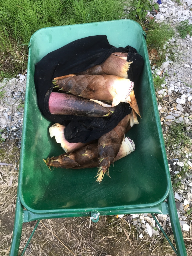 f:id:shunrina:20180416104823j:image