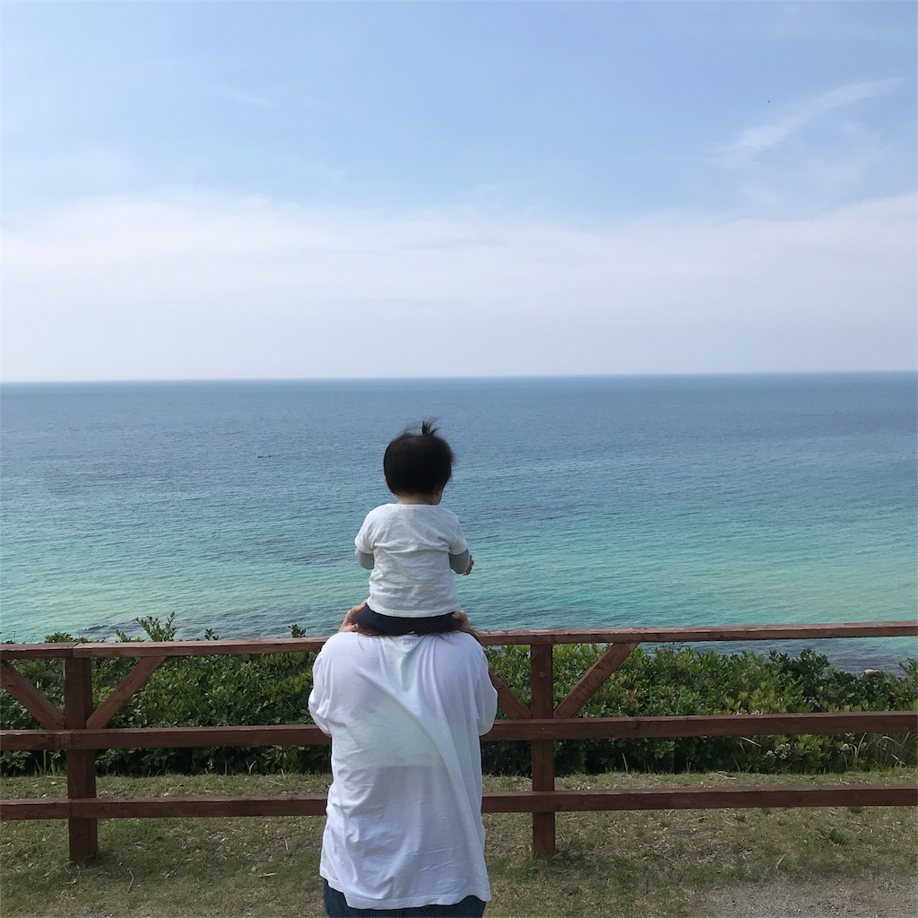 f:id:shunrina:20180516224144j:image