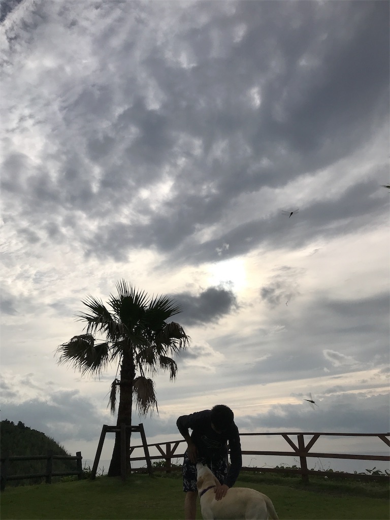 f:id:shunrina:20180630064548j:image