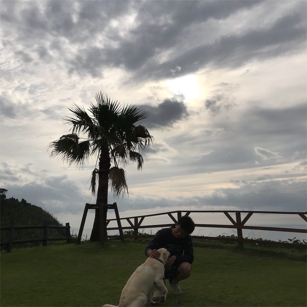 f:id:shunrina:20180630065009j:image