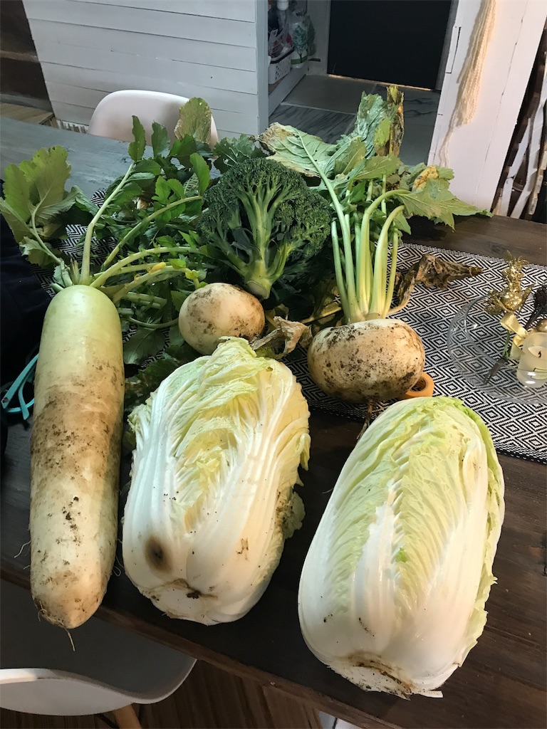 f:id:shunrina:20190108192828j:image