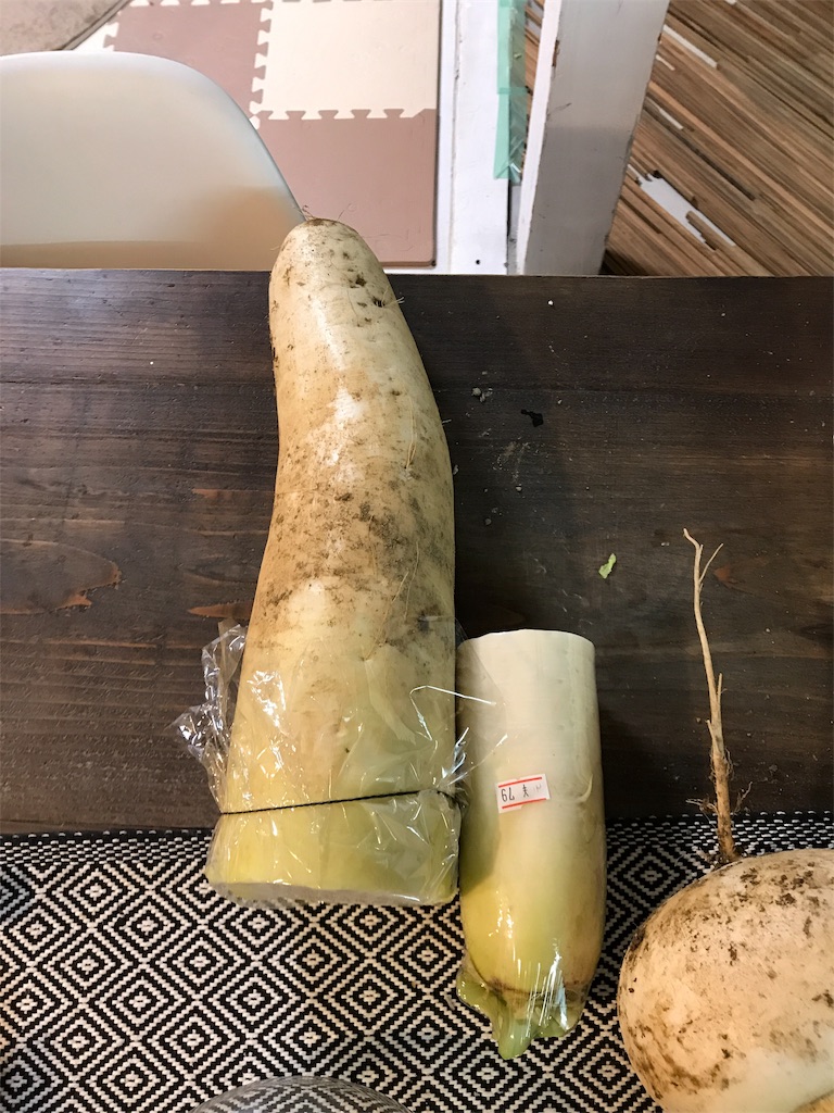 f:id:shunrina:20190108192946j:image