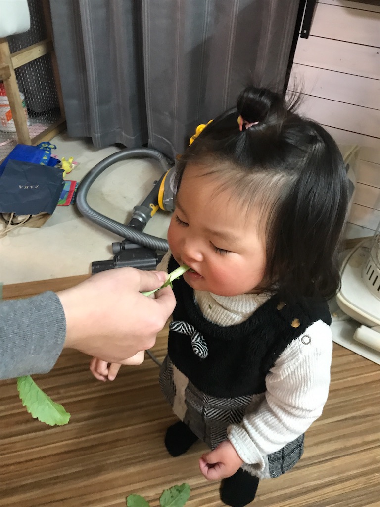 f:id:shunrina:20190108193136j:image