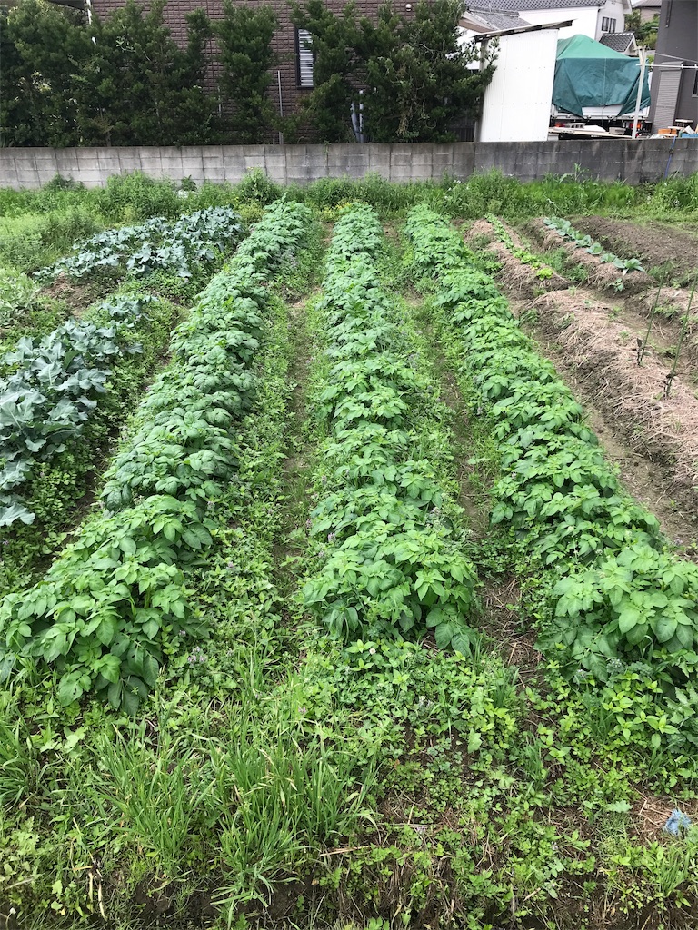 f:id:shunrina:20190603075909j:image