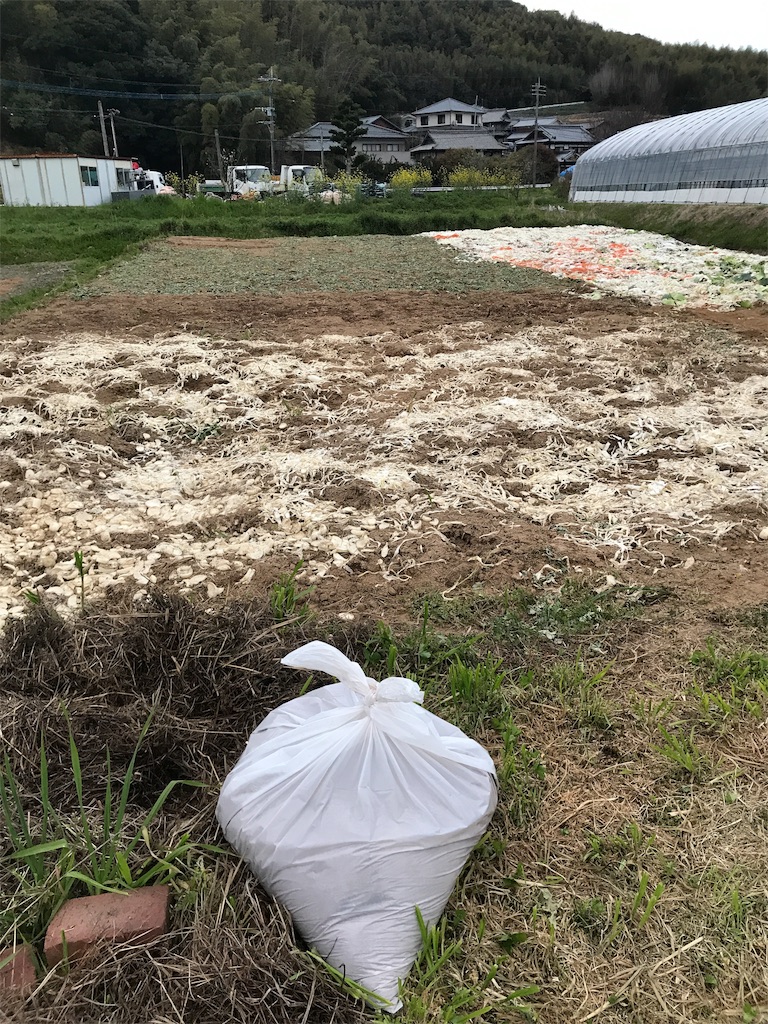 f:id:shunrina:20190603075927j:image