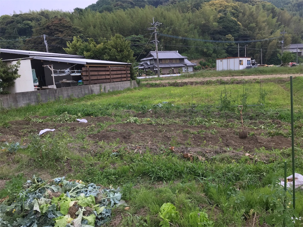 f:id:shunrina:20190603083126j:image